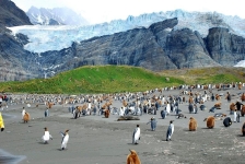 Glaciers (www.expatdailynews.com)